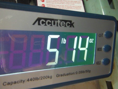 2003 honda vtx1800r ENGINE MOTOR PISTON W RING - Image 16