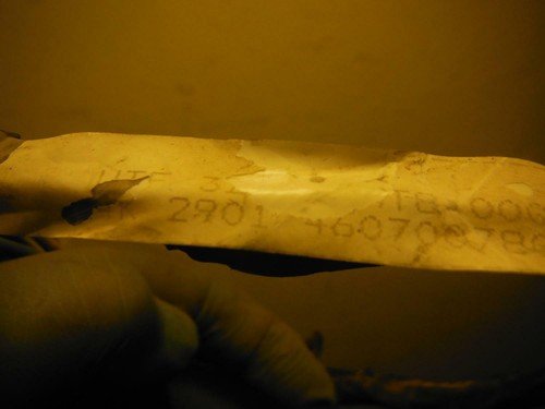 90-00 honda goldwing GL1500 GL 1500 sub HARNESS WIRE LOOM - Image 9