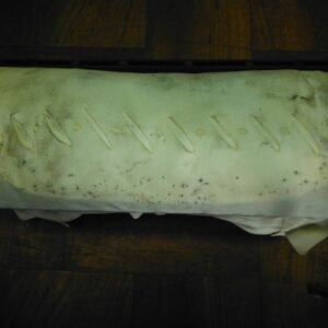 06-10 VW PASSAT KOMFORT TURBO PASSENGER A I R B A G bag